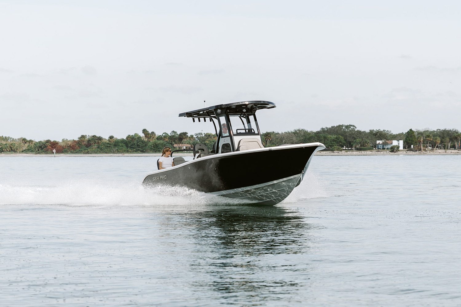 2024 Sea Pro 245 Sandbar in Stuart, Florida - Photo 9