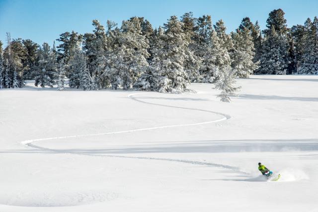 2018 Ski-Doo Renegade Backcountry X 850 E-TEC ES Ice Cobra 1.6 in Unity, Maine - Photo 10