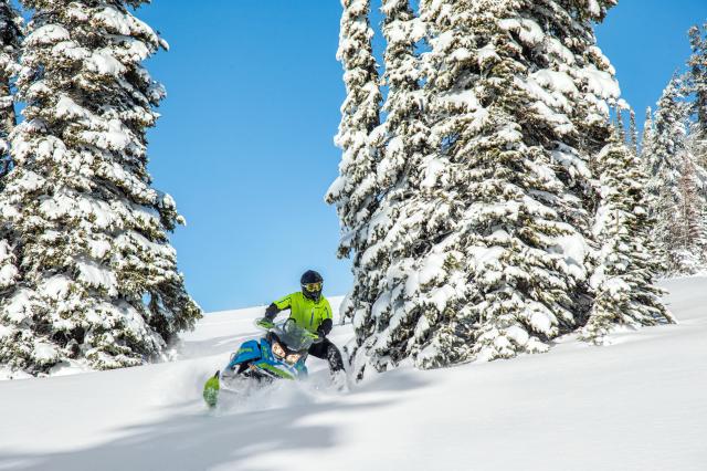 2018 Ski-Doo Renegade Backcountry X 850 E-TEC ES Ice Cobra 1.6 in Unity, Maine - Photo 11