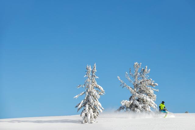 2018 Ski-Doo Renegade Backcountry X 850 E-TEC ES Ice Cobra 1.6 in Mason City, Iowa - Photo 10