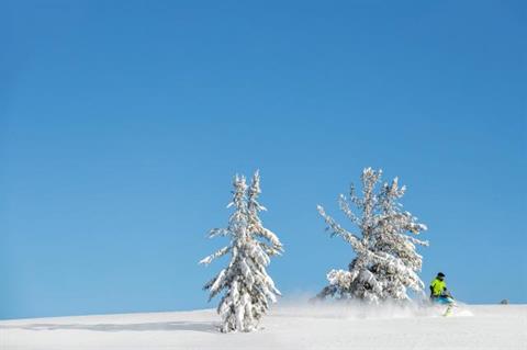 2018 Ski-Doo Renegade Backcountry X 850 E-TEC ES Ice Cobra 1.6 in Mason City, Iowa - Photo 10