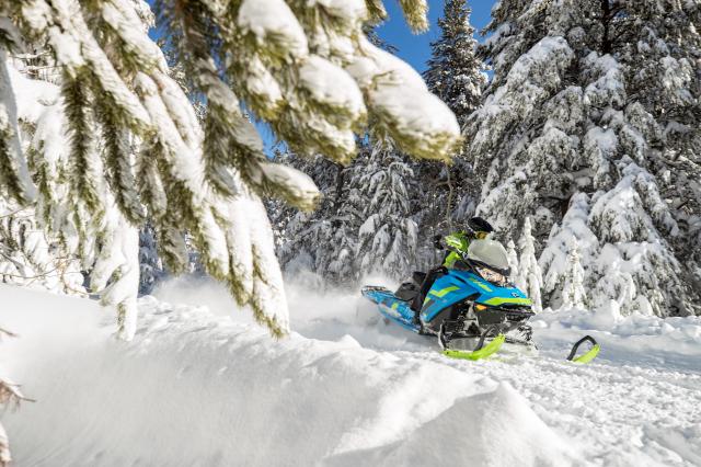 2018 Ski-Doo Renegade Backcountry X 850 E-TEC ES Ice Cobra 1.6 in Mason City, Iowa - Photo 12