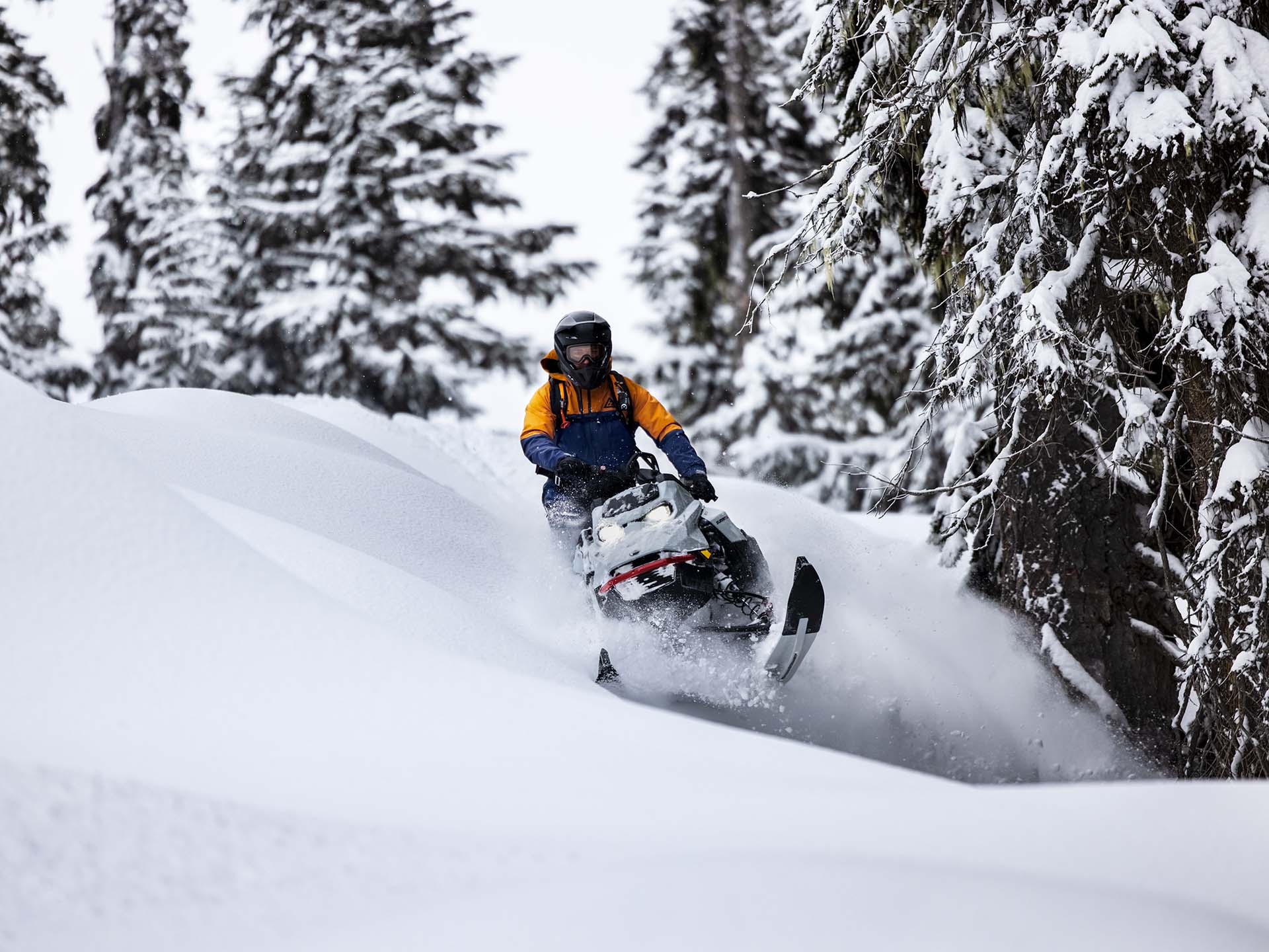 2023 Ski-Doo Summit X 154 850 E-TEC PowderMax Light 2.5 w/ FlexEdge LAC in Land O Lakes, Wisconsin - Photo 2