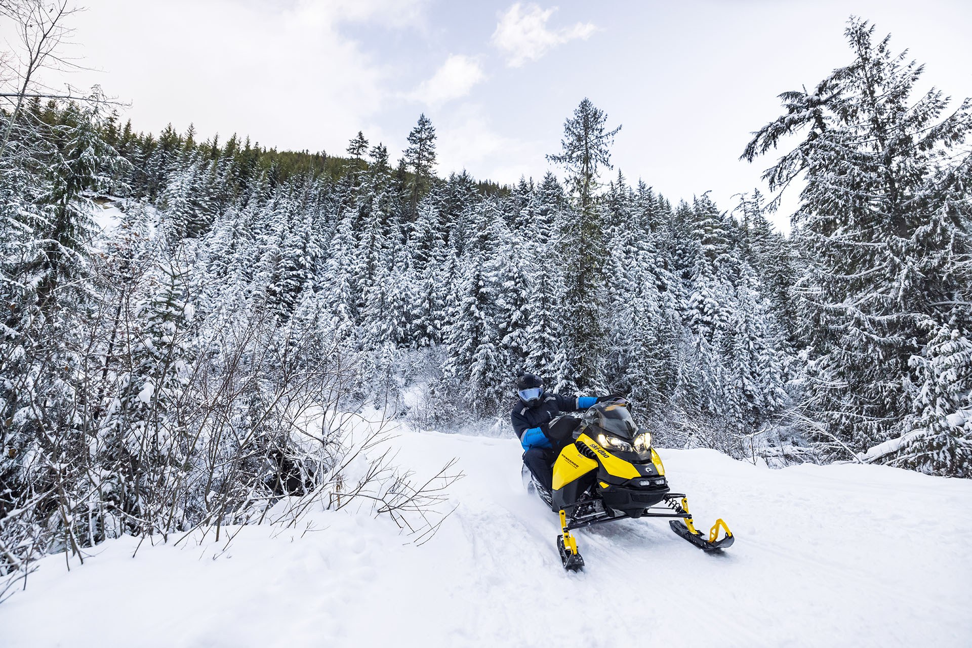 2023 Ski-Doo Renegade Adrenaline 900 ACE ES Ripsaw 1.25 in Lancaster, New Hampshire - Photo 11
