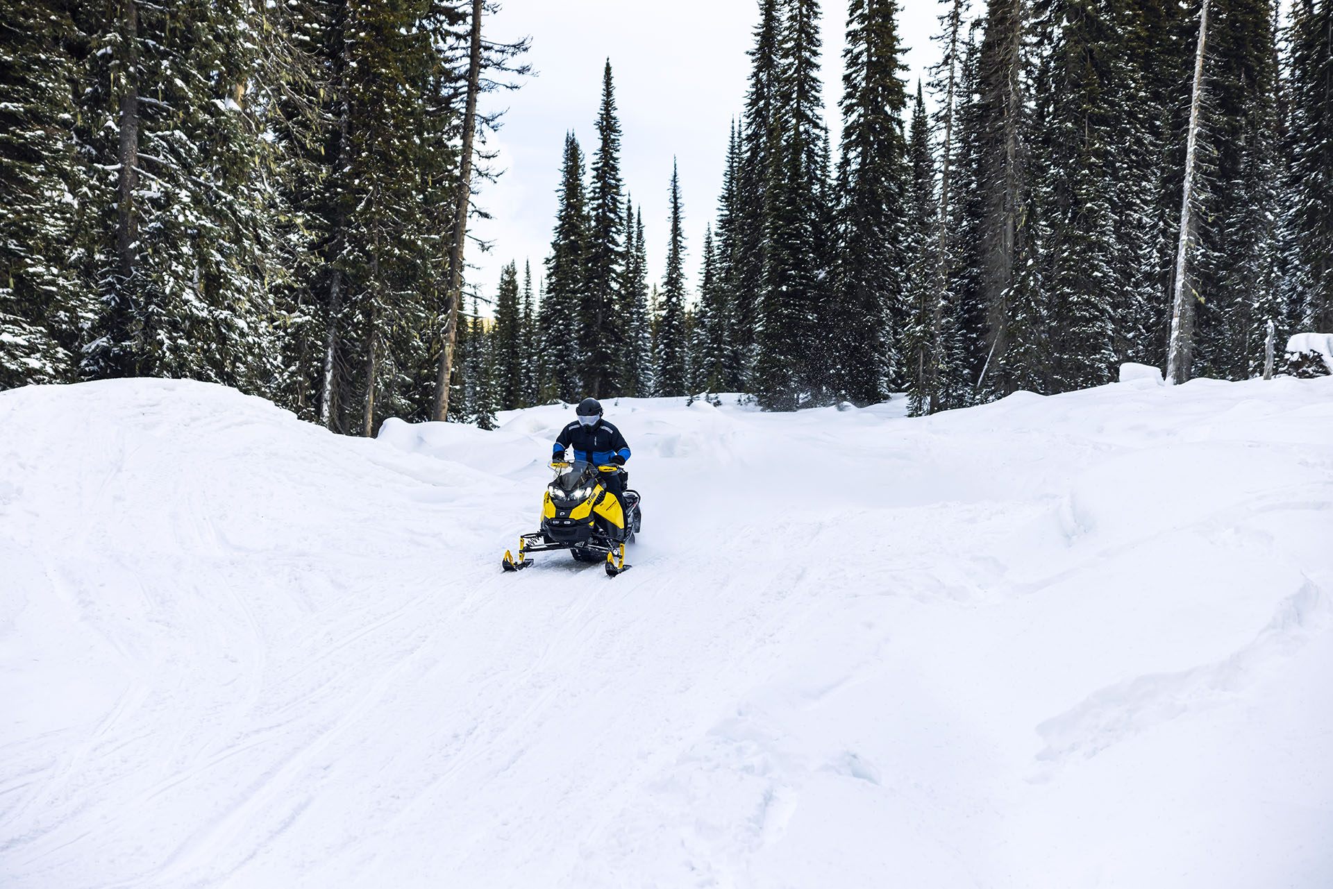 2023 Ski-Doo Renegade Adrenaline 900 ACE Turbo R ES Ripsaw 1.25 in Butte, Montana - Photo 7