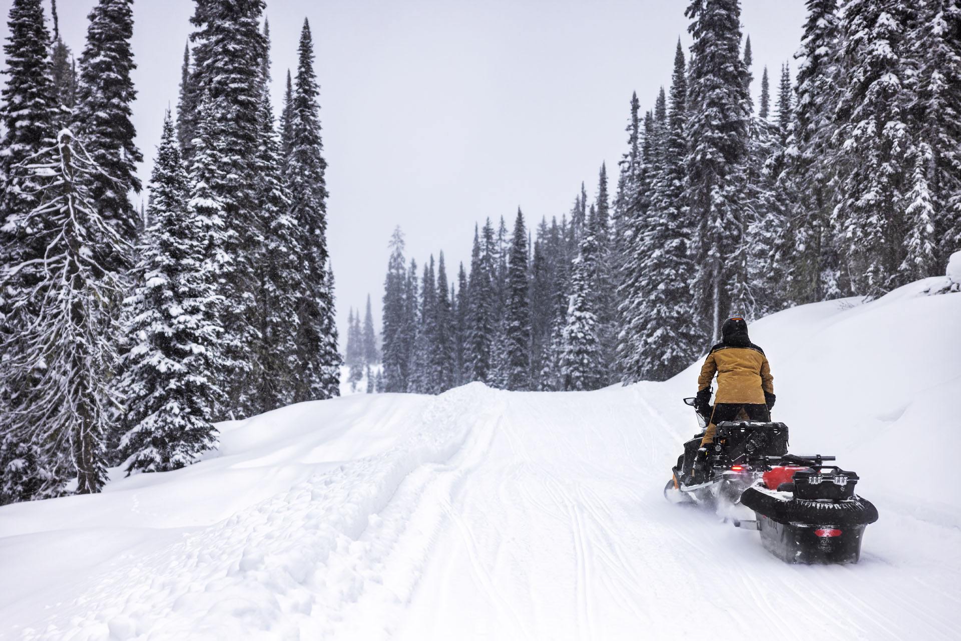 2023 Ski-Doo Skandic SE 900 ACE ES Silent Ice Cobra WT 1.5 Track 20 in. in Huron, Ohio