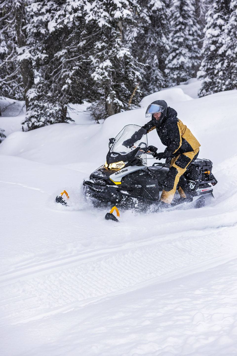 2023 Ski-Doo Skandic SE 900 ACE ES Silent Ice Cobra WT 1.5 Track 24 in. in Woodinville, Washington