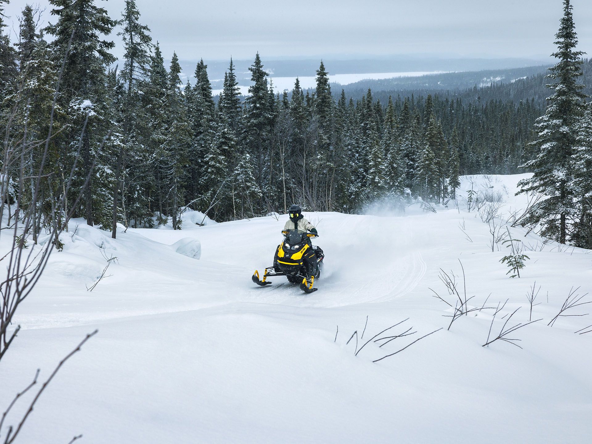 2024 Ski-Doo Backcountry Adrenaline 600R E-TEC ES PowderMax 2.0 in Derby, Vermont - Photo 8