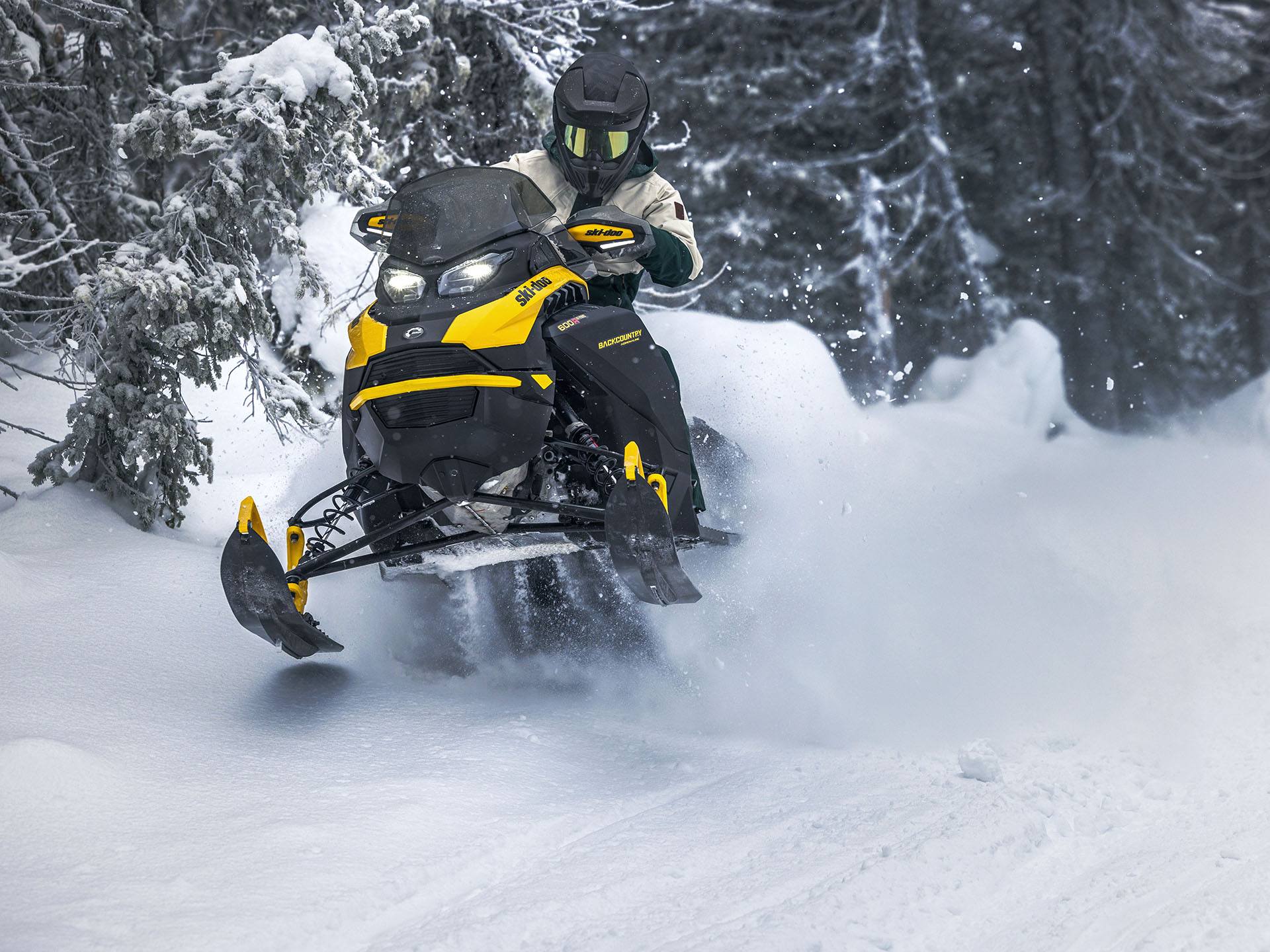 2024 Ski-Doo Backcountry Adrenaline 850 E-TEC ES PowderMax 2.0 in Derby, Vermont - Photo 3