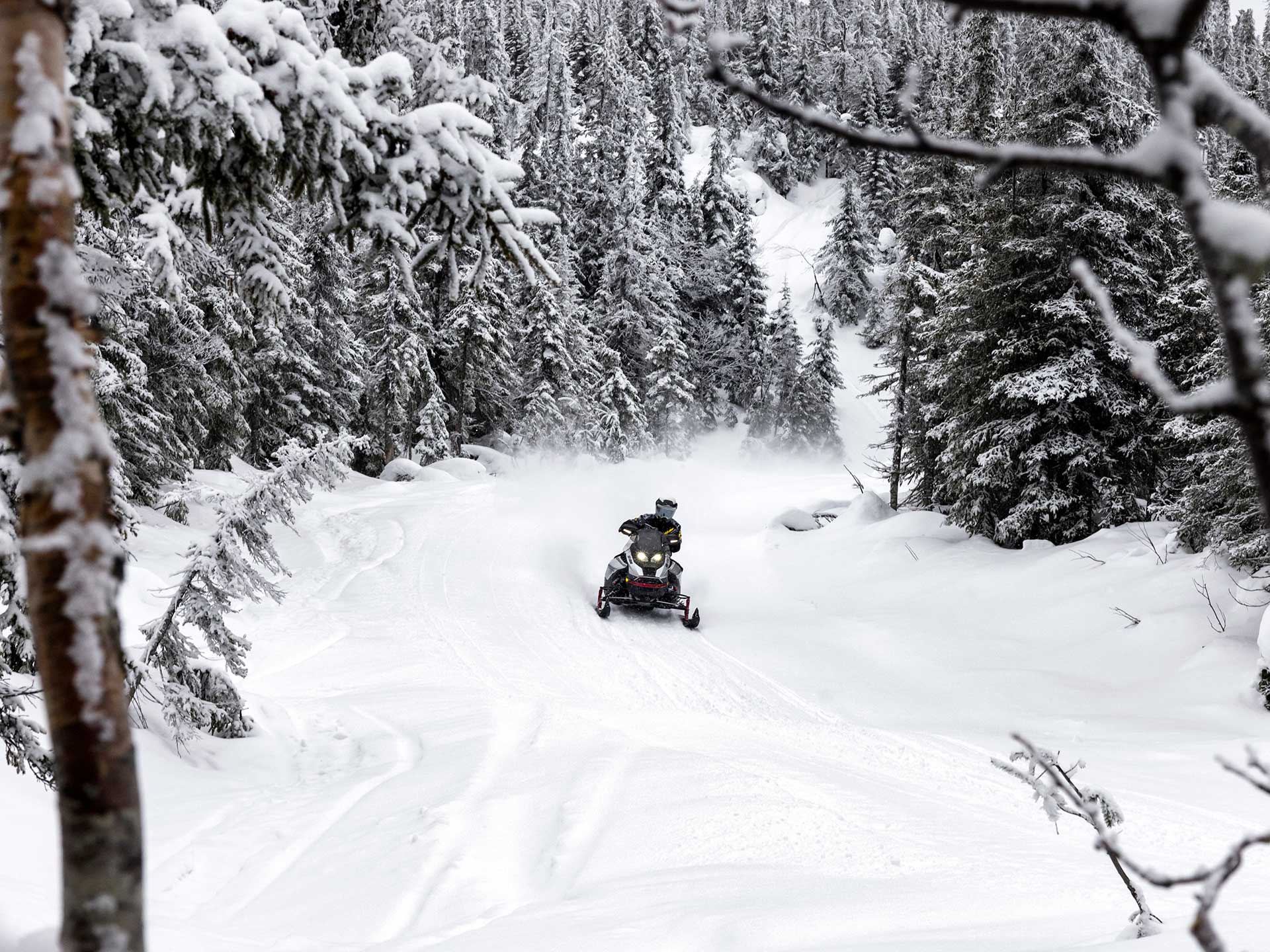 2024 Ski-Doo Renegade X-RS 900 ACE Turbo R ES Ice Ripper XT 1.25 Smart-Shox in Fort Collins, Colorado - Photo 8