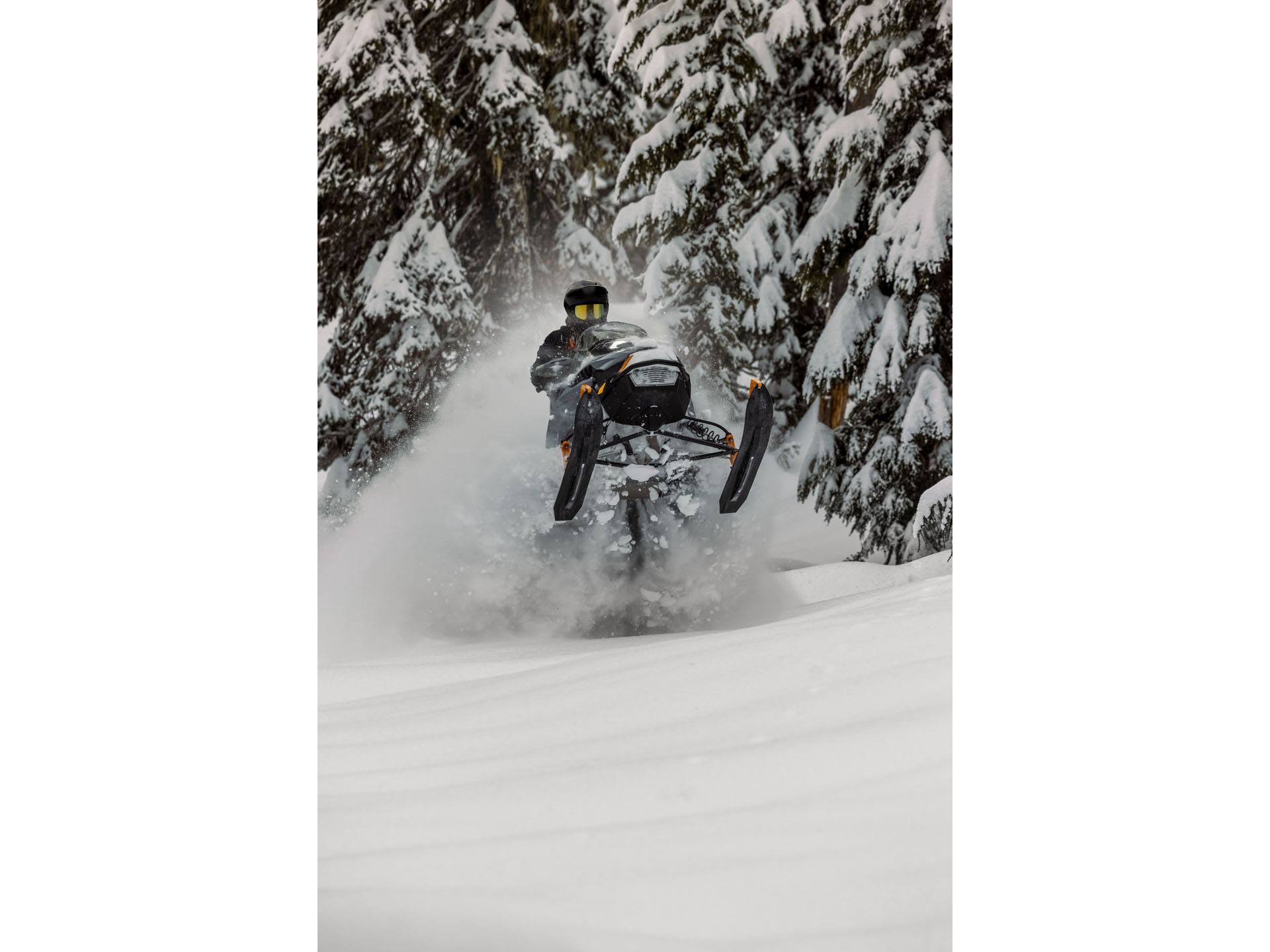 2025 Ski-Doo Backcountry X 850 E-TEC ES Cobra 1.6 w/ 10.25 in. Touchscreen in Hillman, Michigan - Photo 15