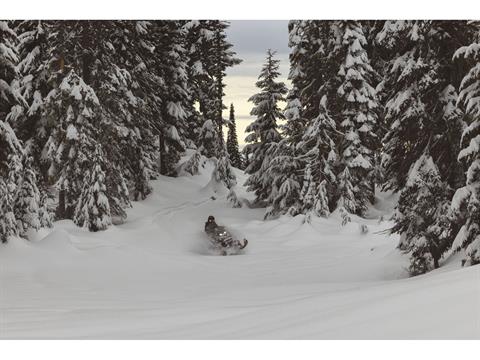 2025 Ski-Doo Backcountry X 850 E-TEC ES PowderMax 2.0 in Chester, Vermont - Photo 10