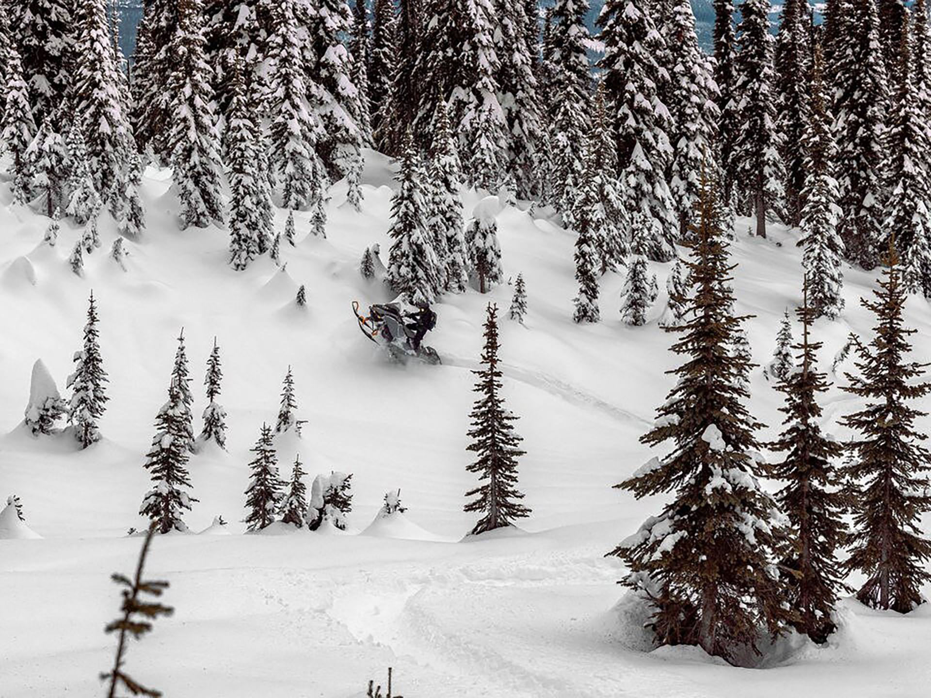2025 Ski-Doo Backcountry X 850 E-TEC ES PowderMax 2.0 w/ 10.25 in. Touchscreen in Ellensburg, Washington - Photo 8