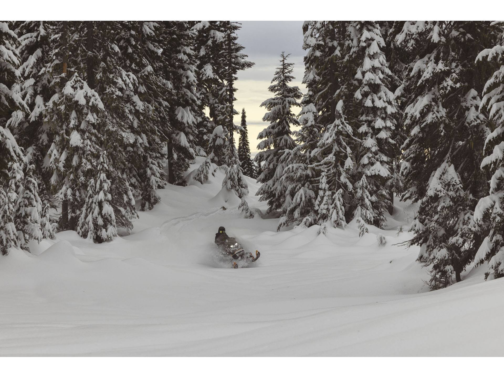 2025 Ski-Doo Backcountry X 850 E-TEC ES PowderMax 2.0 w/ 10.25 in. Touchscreen in Wilmington, Illinois - Photo 11