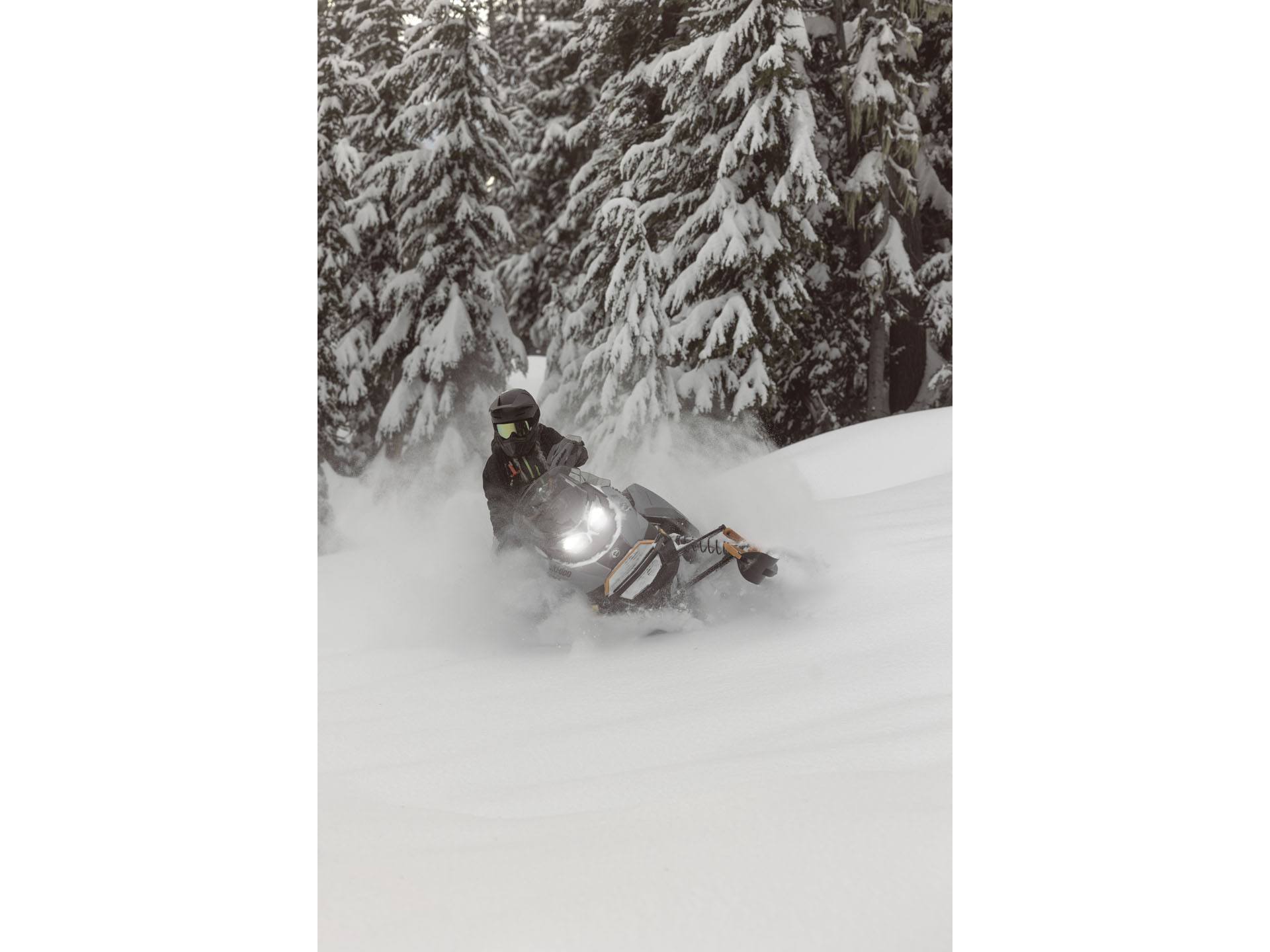 2025 Ski-Doo Backcountry X 850 E-TEC ES PowderMax 2.0 w/ 10.25 in. Touchscreen in Pocatello, Idaho - Photo 14