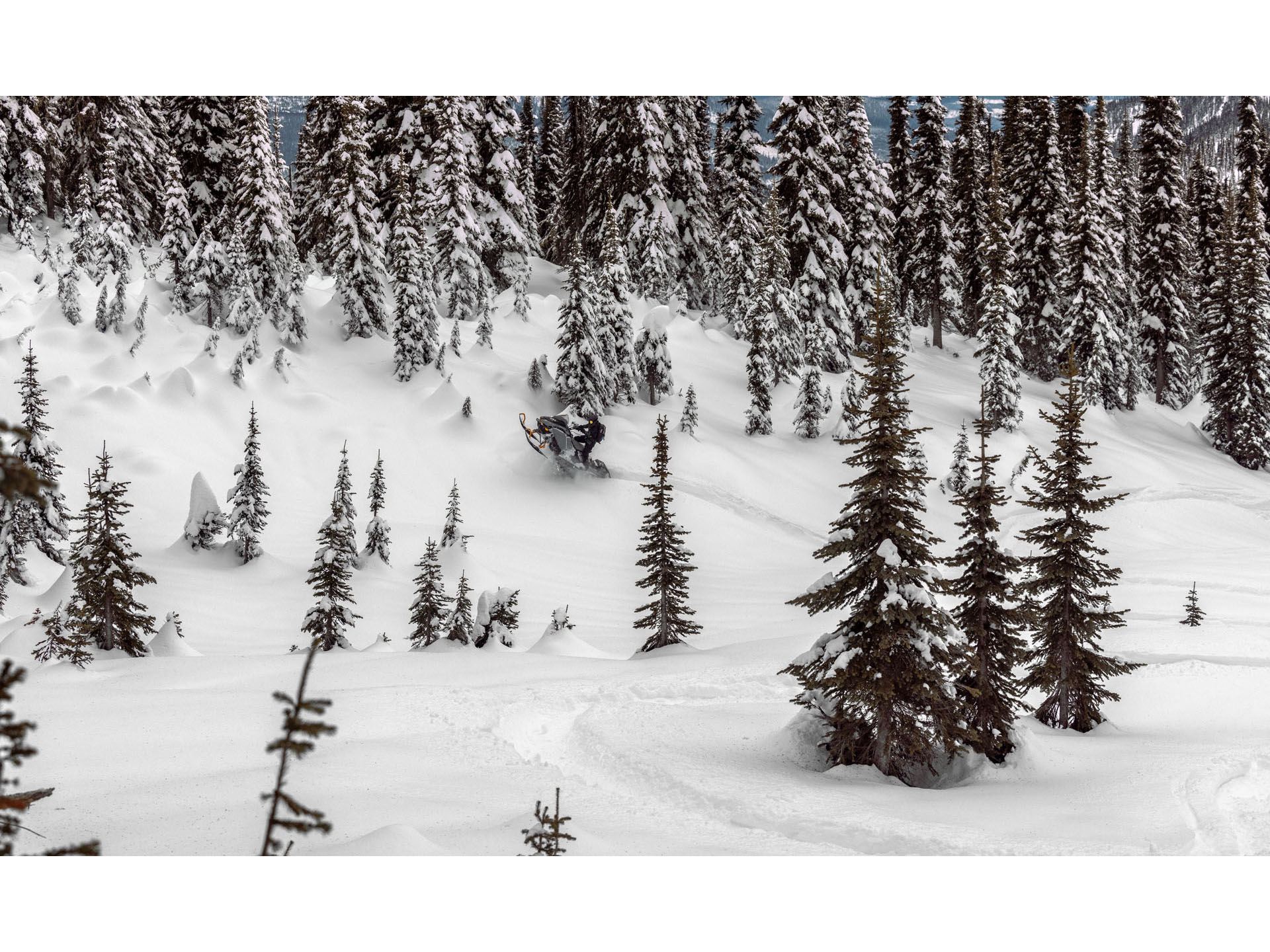 2025 Ski-Doo Backcountry X 850 E-TEC SHOT PowderMax 2.0 in Pinehurst, Idaho - Photo 9