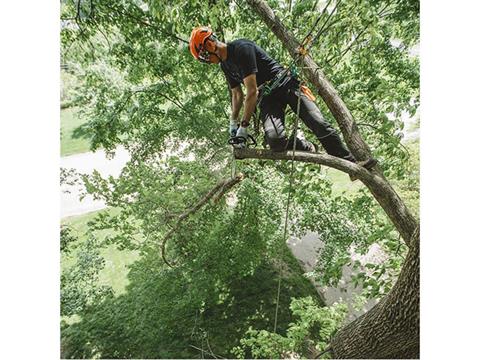 Stihl MS 194 T 12 in. Lightweight Bar in Kerrville, Texas - Photo 5