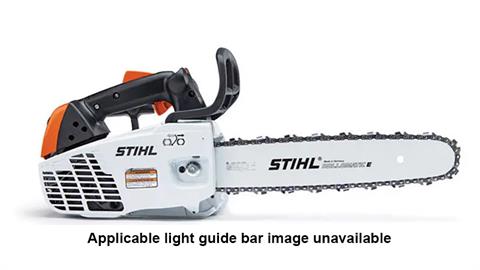 Stihl MS 194 T 14 in. Light Guide Bar 63PS3 in Mio, Michigan