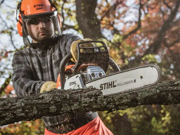 Stihl MS 251 C-BE 18 in. in Angleton, Texas - Photo 2