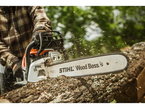 Stihl MS 251 Wood Boss 18 in. in Thief River Falls, Minnesota - Photo 6