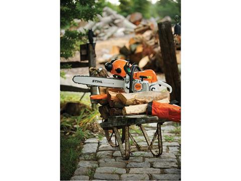 Stihl MS 311 16 in. in Kerrville, Texas - Photo 3
