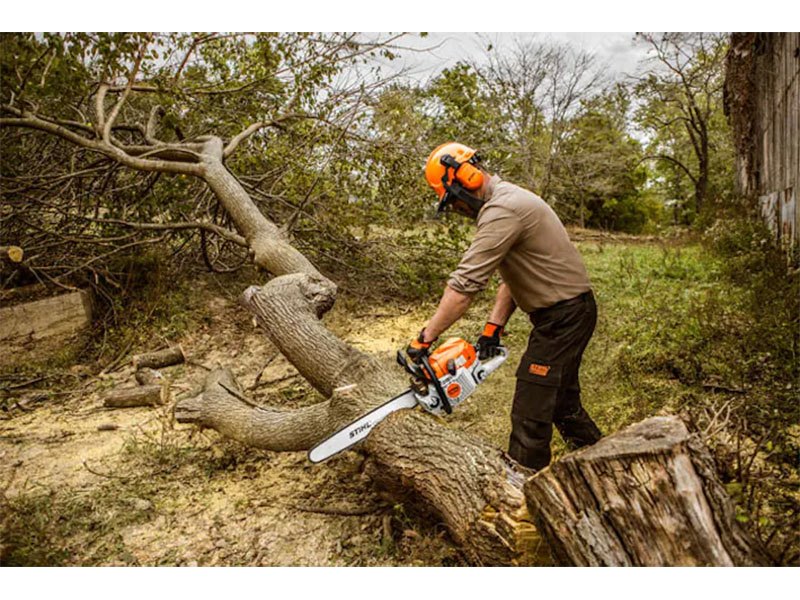 Stihl MS 362 C-M 25 in. in Old Saybrook, Connecticut - Photo 2