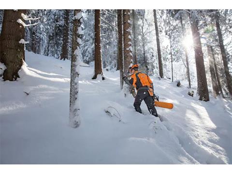 Stihl MS 462 C-M 28 in. w/ Filing Kit in Elma, New York - Photo 3