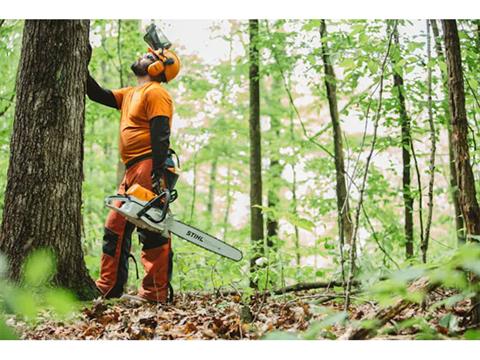 Stihl MS 462 C-M 36 in. in Valdosta, Georgia - Photo 7