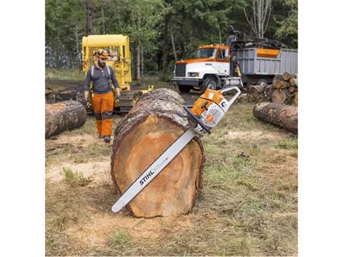 Stihl MS 881 R Magnum 25 in. in Kerrville, Texas - Photo 3