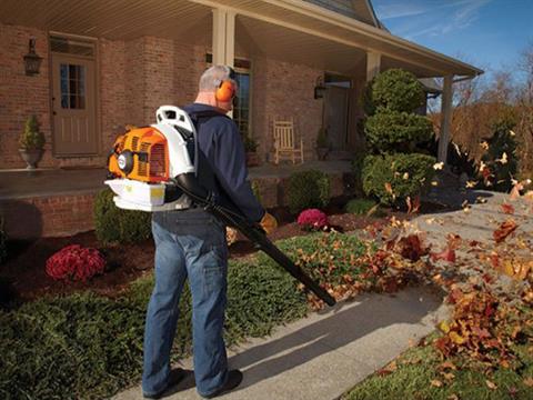 Stihl BR 350 in Kerrville, Texas - Photo 4