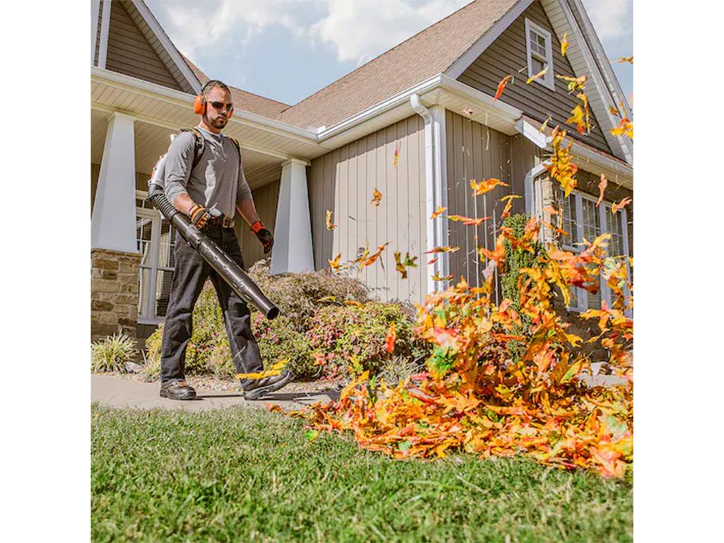 Stihl BR 600 in Greenville, North Carolina - Photo 9