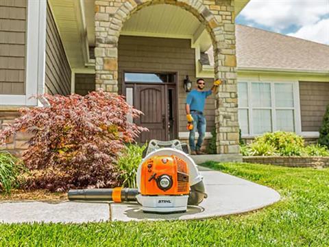 Stihl BR 700 in Kerrville, Texas - Photo 7