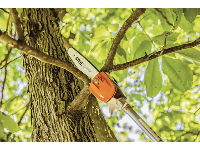 Stihl HT-KM 10 in. Pole Pruner in Winchester, Tennessee - Photo 2