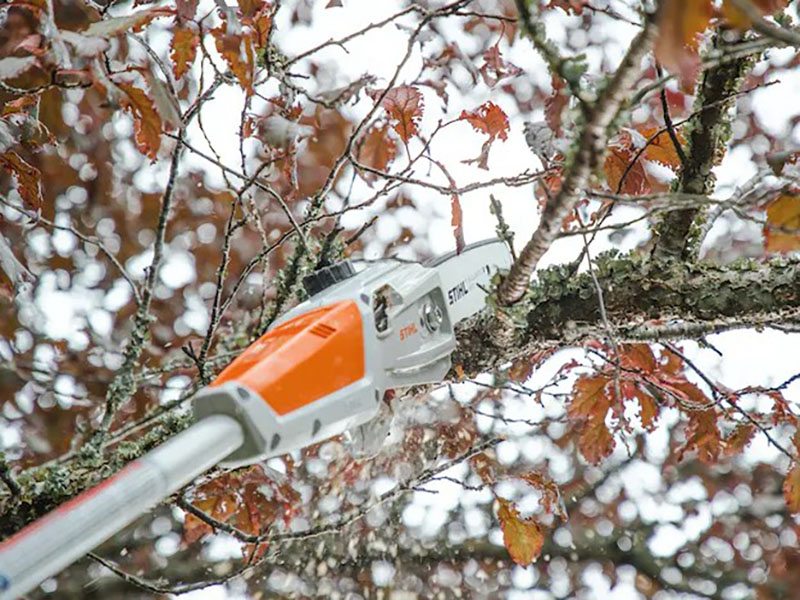 Stihl HTA 50 w/o Battery & Charger in Kerrville, Texas - Photo 3