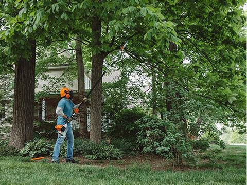 Stihl HT 131 in Old Saybrook, Connecticut - Photo 3