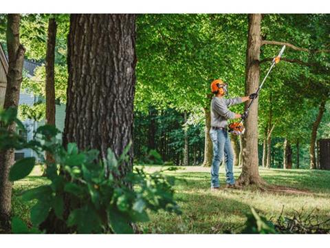 Stihl HT 250 PMM3 in Kerrville, Texas - Photo 3