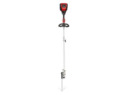 Snapper XD 82V Max Lithium-Ion Cordless Pole Saw in Fond Du Lac, Wisconsin