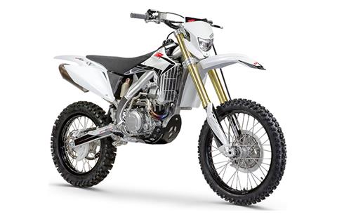 2021 SSR Motorsports SR450S in Le Roy, New York - Photo 3