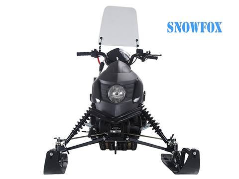 2019 Tao Motor SnowFox in Largo, Florida