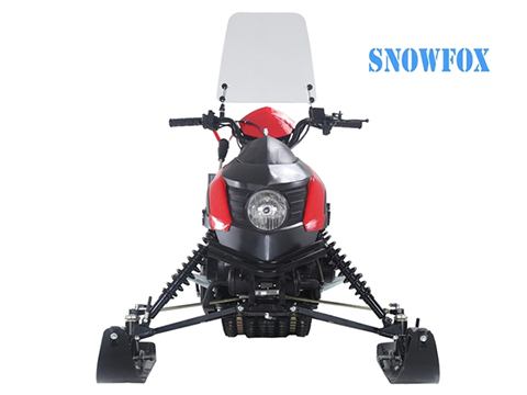 2019 Tao Motor SnowFox in Largo, Florida - Photo 3