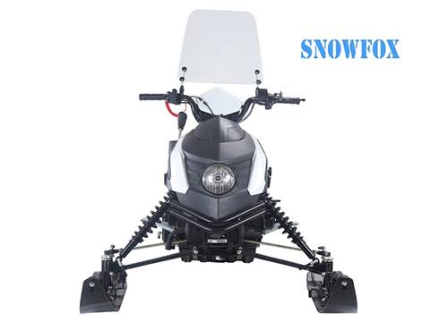 2020 Tao Motor SnowFox in Largo, Florida - Photo 3