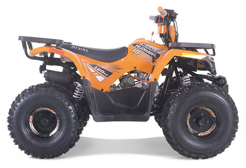 2023 Tao Motor MudHawk 10 in Howell, Michigan - Photo 2