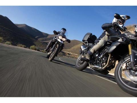 2014 Triumph Tiger 800 ABS in Albany, New York - Photo 22
