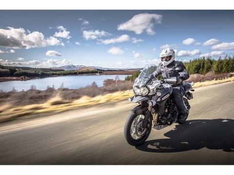 2014 Triumph Tiger Explorer XC ABS in Mount Sterling, Kentucky - Photo 3