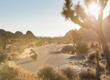 2017 Triumph Tiger Explorer XRx in Bakersfield, California - Photo 6