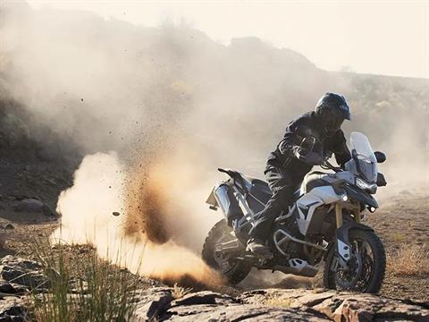 2023 Triumph Tiger 900 Rally Pro in Enfield, Connecticut - Photo 17