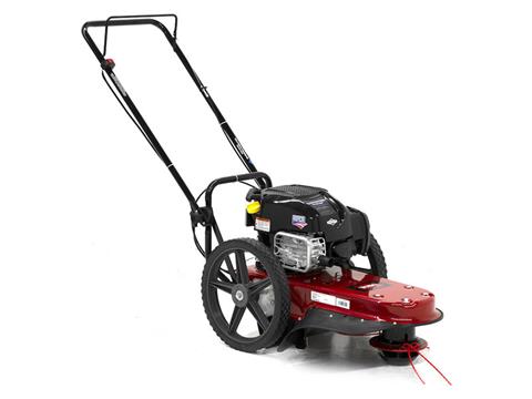 Toro 22 in. Briggs & Stratton String Mower 163 cc in Old Saybrook, Connecticut