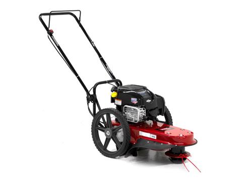 Toro 22 in. Briggs and Stratton String Mower 163 cc in New Durham, New Hampshire
