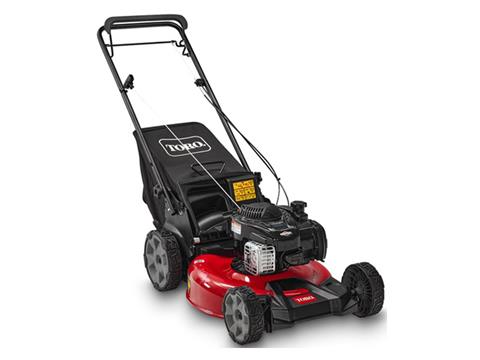 Toro Recycler 21 in. Briggs & Stratton 140 cc Self-Propel in Old Saybrook, Connecticut