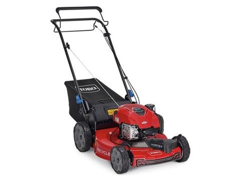 Toro Recycler 22 in. Briggs & Stratton 150 cc Self-Propel w/ SmartStow in Old Saybrook, Connecticut